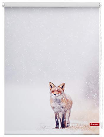 Lichtblick Klemmfix Tageslicht-Rollo mit Motiv, ohne Bohren, Blickdicht, Seitenzugrollo, Made in Germany, Fuchs im Schnee - Weiß Rot 120 x 150 cm (B x L)