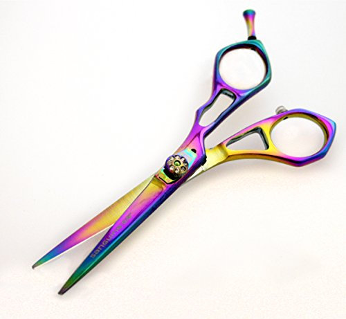Ciseaux de Coiffure Ultra Tranchants, Ciseaux de Coiffeur Décalés - Lames Convexes Japonaises pour Réduire les Pointes Fourchues, 14 cm + Étui Inclus