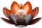 Dehner Lámpara Solar Lotus, diámetro 27,5 cm, Altura 12 cm, Metal, Plata/Rojo