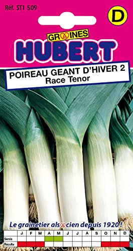 Graines de Poireau Géant d'Hiver Race Tenor - 1 gramme