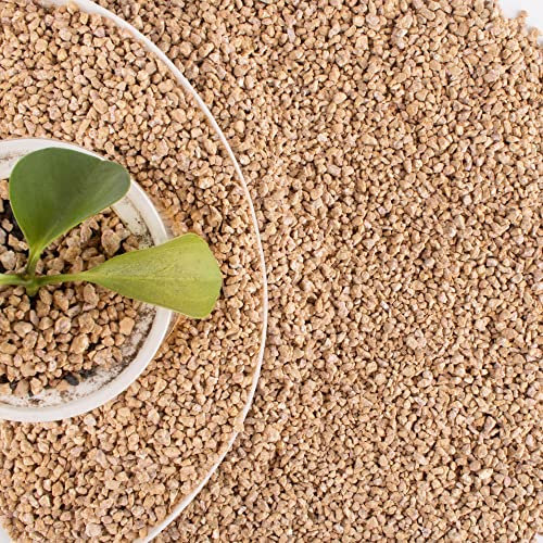 Piedras Maifanitum de 18 libras para suculentas Cactus Bonsái, rocas decorativas, cubiertas de suelo, grava hortícola, guijarros para macetas para terrario, jardinería de hadas, aderezo