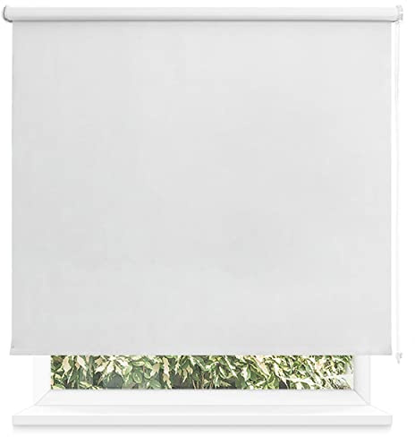 Estor Enrollable Opaco 60 x 200cm (Ancho x Largo), Blackout para Puertas y Ventanas, Medida de la Tela 55 x 195cm (Blanco Gris)
