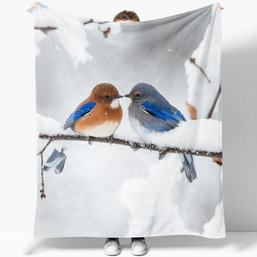 Kuscheldecke Tier Vögel Schnee Bunt 150 x 200 cm, Extra Weiche Bedrucktes Flauschige Flanell-Fleecedecke, Wärme Herbst Winter Kuscheldecke für Bett Sofa Büro Reisen