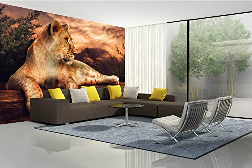 Vlies Fototapete LÖWIN BEI SONNENUNTERGANG 375 x 250 cm (inkl. Kleister) - Vlies Tapete, Wandtapete, Wandbilder - Tapete für Wohnzimmer Schlafzimmer, Büro, Küche - Montagefertig