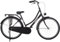 AMIGO Cotton - Transportfahrrad 28 Zoll für Damen - Hollandrad mit Frontgepäckträger - 50 cm - Rücktrittbremse & V-Bremse - Mattschwarz