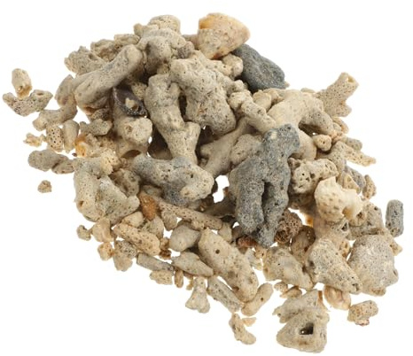 VICASKY Naturel pour Aquarium Matériau Filtrant Décoratif Forme et Aléatoires pour Aquariums Eau Douce et avec