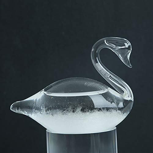 DELIBEST Swan Storm Glas-Wettervorhersage, kreative stilvolle Wetterstation Forecaster Storm Glasflaschen Barometer, Desktop Dekoration Handwerk
