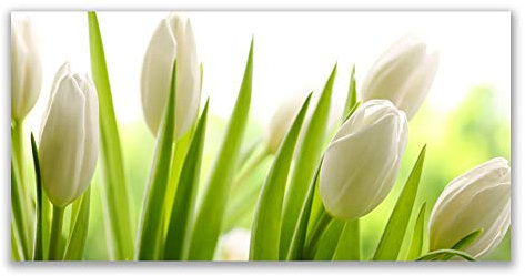 Tulup Acrylic Glass Print 120x60cm Wall Art - Wall Picture Plastic Acrylic Glass - Tulips Floral