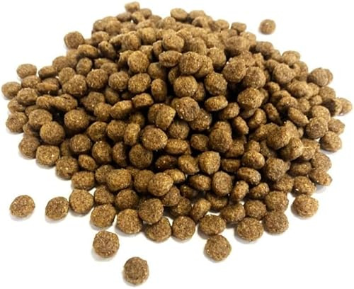 Premium Complete Hedgehog Food 750g Complete Food MDW