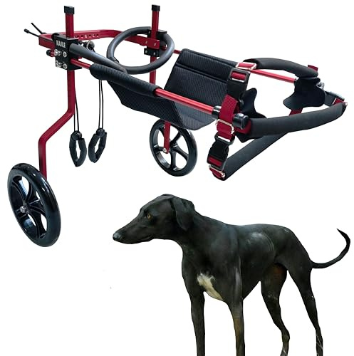 KAJILE Justerbar 2-hjuls hundvagn, XL-2 storlek för rehabilitering av funktionshindrade Hund Bakben, passform Höjd 50-65cm, bredd 21-28cm, längd 30-40cm