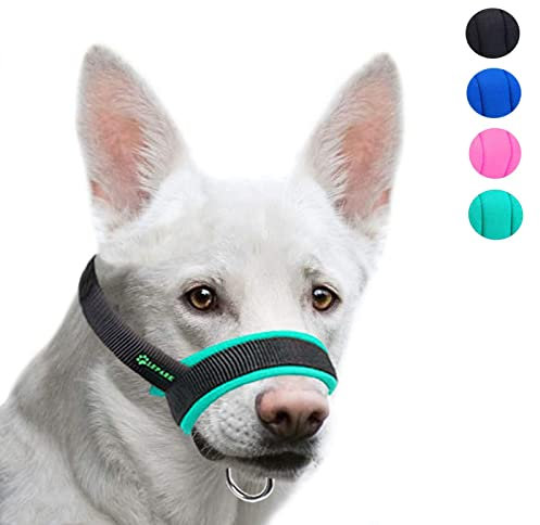 Maulkorb aus Stoff für Kleine,Mittlere und Große Hund,Verhindert Beisen, anpassbare Hals, Atmungsaktiv(S,Grün)