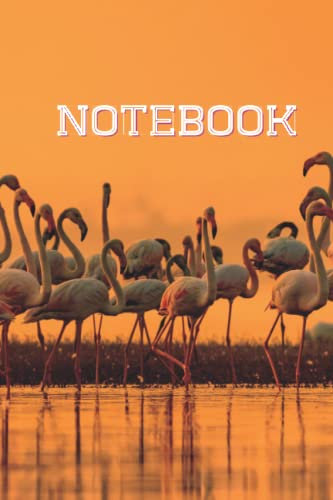 Notebook: Notebook, Students, Office, Business Diary, Book Journal Personalized Name, Journal Customized, Journal Custom Name Journal (6x9) 120 pages ... Book to Collect Memories,