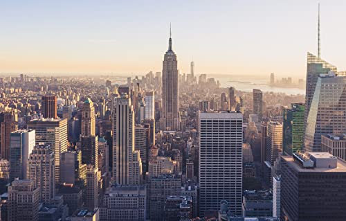 LHJOYSP Puzzle 1000 Teile Kinder New Yorker Wolkenkratzer Empire State Building 75x50cm
