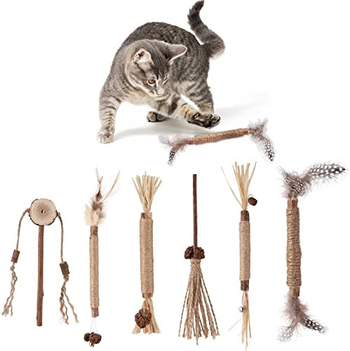Dacitiery 6 Stück Katzenminze Sticks,Kaustäbchen für Katzen,Katzenspielzeug für die Zahnreinigung der Katze, Katzenminze-Sticks für den Innenbereich von Katzen,Kätzchen