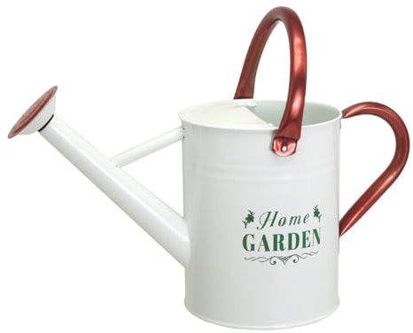 Lechloris Regadera de metal para plantas al aire libre, regadera de acero galvanizado con boquilla extraíble, 1 galón, decoración perfecta para el hogar y el jardín, color blanco