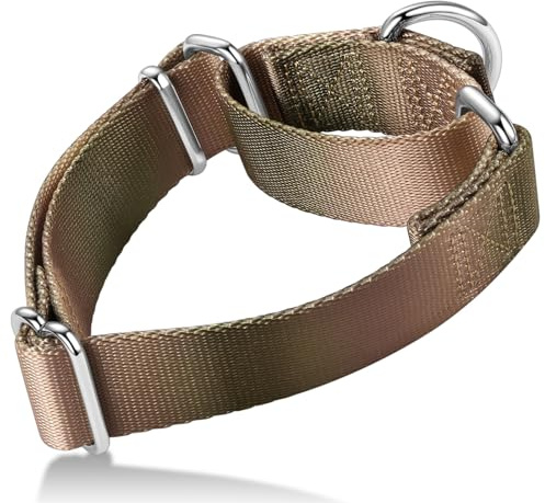 Axdvk Martingale-Halsband für Hunde – Bunter Farbverlauf, Modisches Design & Ausbruchsicher – Weich & Langlebig – Für Spaziergänge, Training, Outdoor und Alltag, M, Khaki Verlauf Verlauf