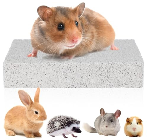 TOGEVAL Volcanic Stone Claw Grinding Pad Bunny Grinding Claw Board for Small Animal Rabbits Guinea Pigs Chinchillas Hedgehogs Foot Comfort Natural Grooming
