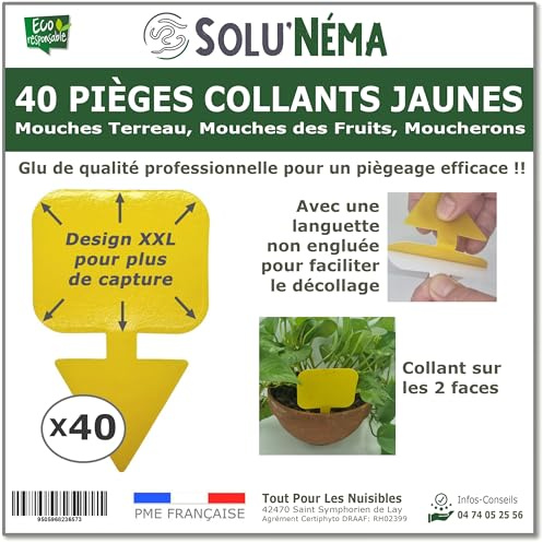 40 Pièges Collants Jaunes pour Mouches du Terreau, Mouches des Fruits, Moucherons, Design XXL - SoluNéma