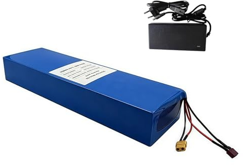 Batterie Lithium-ION 48 V 20 Ah avec Protection BMS, pour Vélo Électrique avec Chargeur, pour Draisiennes, Vélos Électriques Et Scooters XT60+DC