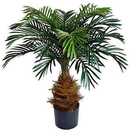 Seidenblumen Roß Cycaspalme 80cm im Topf DA Kunstpalmen Dekopalme Kunstpflanzen künstliche Pflanzen Palmen Cycas mit Kokosfaser