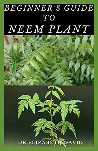 BEGINNER'S GUIDE TO NEEM PLANT: Everything You Need To Know About Neem Plant : Cultivation, Health Benefits, Extraction,Growing and uses