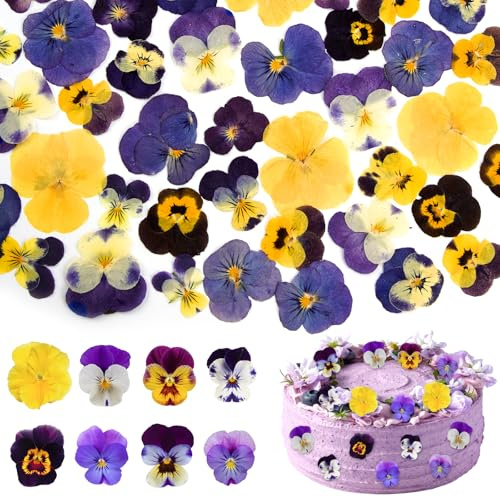 8 Types Naturally Dried Pressed Edible Flowers 56Pcs | Mixed Tricolour Viola for Cake Toppers Decorating Cocktails, DIY Crafts