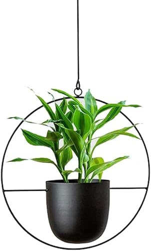 Generisch Hängende Blumenampel aus Metall, Schwarz, Rund, Pulverbeschichtet, Modern, Multifunktional, für Innen und Außen, Wand- und Deckenmontage, 20x12x25 cm (Rund, 1)