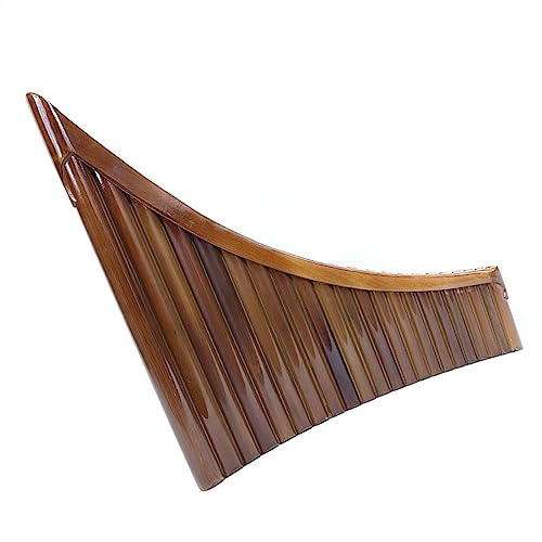 Tragbare 22-Rohr-Panflöte, Traditionelles Chinesisches Blasinstrument, Panflöte Mit Holzstütze Panflöten für Studenten (Color : G key)