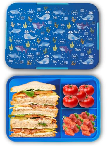 Kinder Brotdose Wale&Haifische Blau – Bento Lunchbox mit 3 Fächern, auslaufsicher & BPA-frei – Mikrowellen- & Spülmaschinengeeignet – Pausenbox für Kita & Schule, 1120 ml