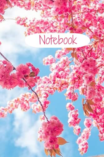 Netbook
