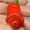 Haloppe 30 Stück Chili-Gemüse-Samen für die Bepflanzung des Hausgartens, pornographische Pfeffer-Penis-Chili-Samen, spezielle Gemüsepflanze, Gartendekoration Pfeffer Samen