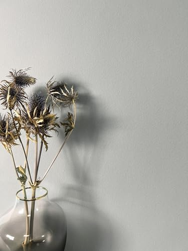 Newroom Vliestapete Grau Uni Putzoptik Tapete Wohnzimmer Schlafzimmer | Feine raue Putzstruktur, matter Effekt ohne Glanz, skandinavisch minimalistischer Stil, ansatzfrei, Wandtapete für Büro Flur