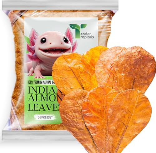 Tender Tropicals 50 Pcs Indian Almond Catappa Leaves 6 for Axolotl Aquariums – Natural Leaf Litter, Aquarium Botanicals, Tank Accessories & Habitat Decor