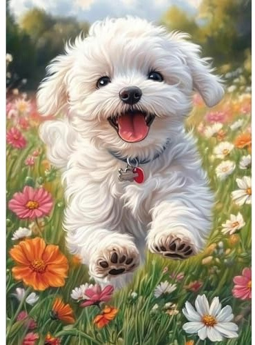 TOSTOG Diamond Painting für Erwachsene,Weißer Bichon Frisé Diamant Painting Kits Full Drill Bilder 5D DIY Diamant Malerei Set 30x40cm für Wanddekor