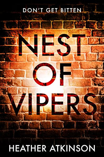 Nest of Vipers: Don't get bitten (Unfinished Business Book 8)