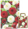 Juego de flores de verano, dalias, bulbos de flores, mezcla de dalias, multicolor, selección en mezcla para verano, flores perennes (3 dalias L 'Amour)
