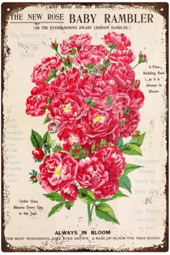 Vintage Metal Tin Sign The New Rose Baby Rambler Brown Brothers Company Floral Nature Plants Kitchen Garden Home Horticulture Wall Decor 12x16 Inch