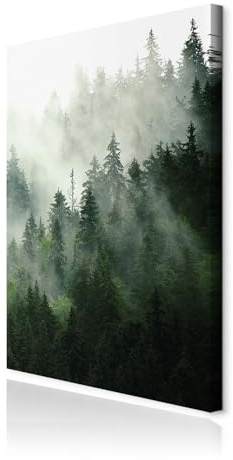 decomonkey Wandbilder Wald 80x120 cm 1 Teilig Leinwandbilder Kunstdruck | Strukturleinwand, Holzkeilrahmen, Bild auf Leinwand, Wanddeko, Wohnzimmer, Wanddekoration, Natur, Landschaft