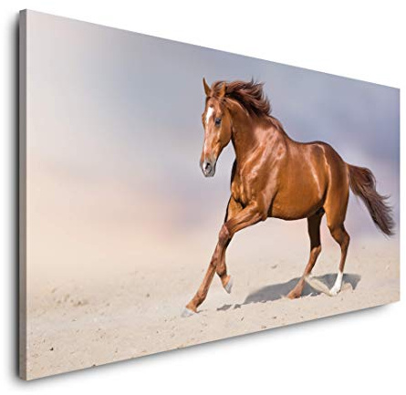 Pferd in einer Wüste 120x 60cm Panorama Leinwand Bild XXL Format Wandbilder Wohnzimmer Wohnung Deko Kunstdrucke