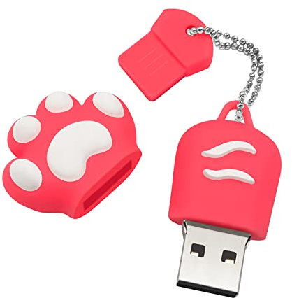 Clé USB 64Go pour Cadeau, Cle USB 2.0 Rose Flash Drive Cartoon Pattes de Chat Pen Drive Mémoire Stick Bâton de MéMoire Informatique USB pour Les Enseignants, Les éTudiants, la Famille et Les Amis