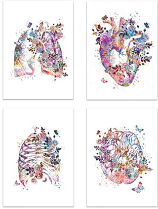 Supkancl Cuore Umano Stampa Organo Anatomia Tela Pittura Medicina Poster anatomico Vintage Acquerello Immagini di Fiori Clinica Decor(I-4pcs,15x20cm No Frame)
