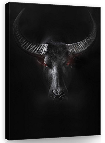 Forwall Leinwand Bilder 100x75 cm | Bull schwarz Tiere, Leinwandbilder, Bild auf leinwand, Format: 100x75 cm (BxH) - einteilig auf Canvas Leinwand. Das