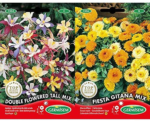 Germisem Graines Ancolie double variée+Graines Souci nain FIESTA GITANA MIX