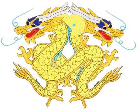 Lurrose 2stücke Chinesische Drachen- Aufnäher Für Kleidung Applikationen Aufnähen Oder Bügeln Für Taschen Hüte Jeans Und