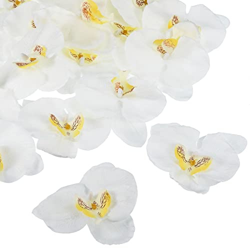 PATIKIL 3.9 Artificial Orchid Flower Heads, 20 Pack Silk Phalaenopsis Fake Butterfly Orchid Heads for Wedding Floral Bouquet Decor DIY Craft Making, White
