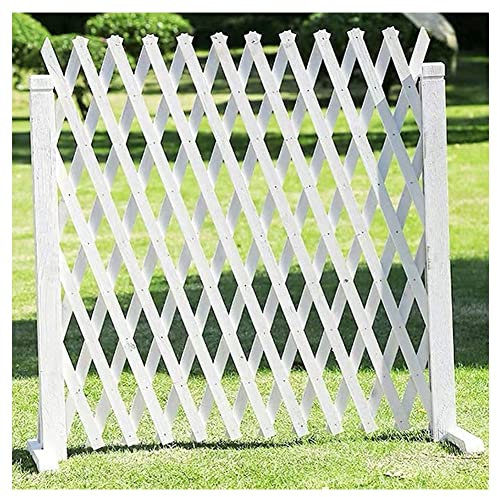 ZHEYANG Staccionata in Legno per Giardino Bassa Schermo da Giardino pianta per Animali Domestici Recinzione di Sicurezza 0729(Color:D,Size:160x80cm)