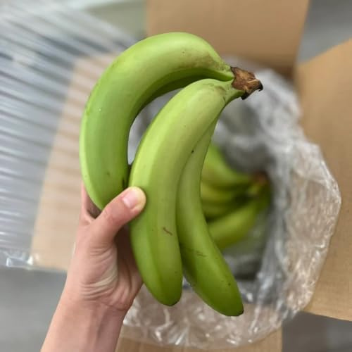 semi di banana - banana - balcone di pilastro, banano fresca, decorazione soggiorno, 30pcs