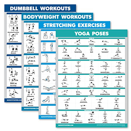 Palace Learning 4er-Pack – Hanteltraining + Körpergewicht-Workouts + Dehnübungen + Yoga – Set mit 4 Workout-Diagrammen (45,7 x 61 cm, laminiert)