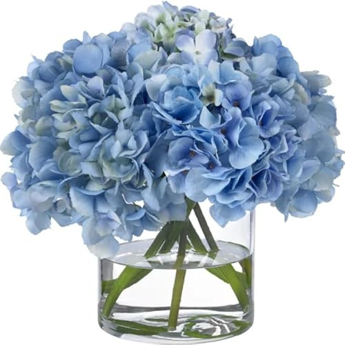 Ramo de Hortensias Azuladas Frescas con 10 Flores en Diseño Moderno y Elegante