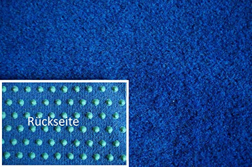 Rasenteppich Kunstrasen Premium blau Velours Weich Meterware, verschiedene Größen, mit Drainage-Noppen, wasserdurchlässig (200x350 cm)